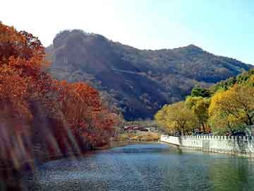 新澳天天开奖资料大全旅游团，陨落星辰的小说